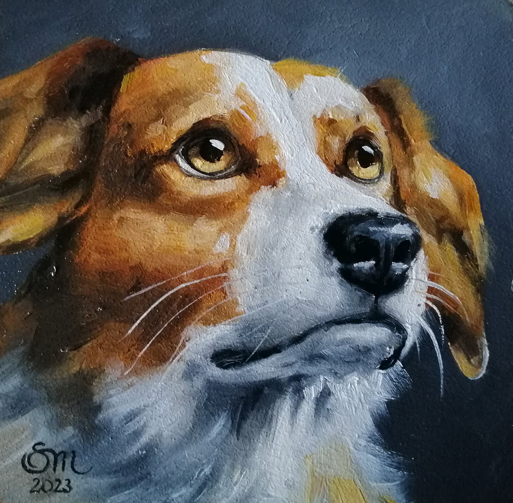 Custom Pet Portrait Oil Painting from Photo