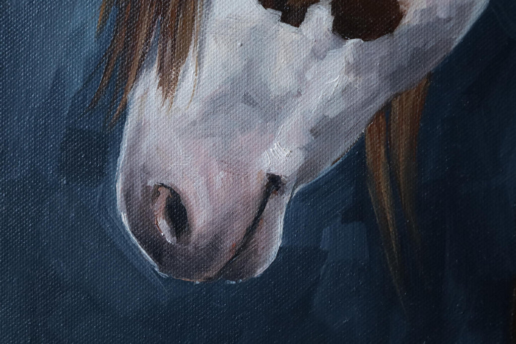 Blue-eyed Horse